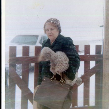 Photo of Bombi Dausin